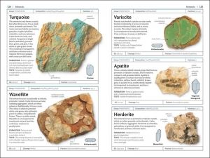 Book - Rocks and Minerals : The Definitive Visual Guide by Chris Pellant