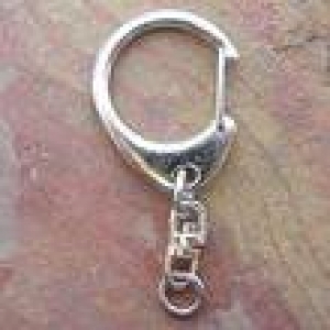 Keyring Fitting Parrot Type Clasp. Stainless Steel
